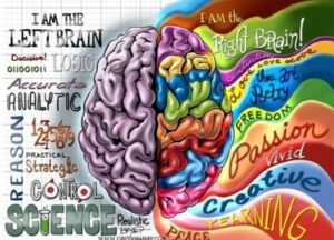 right brain vs left brain 